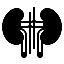 Nefroloji